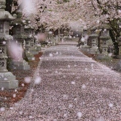 Ирина Соколова, 16.03.1977, Новосибирск