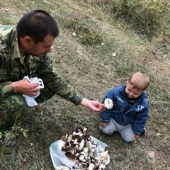 Макс Сорокин, Волгоград
