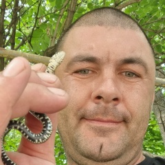 Костя Тороп, Днепр (Днепропетровск)