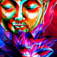 Григорий Ди, Vancouver