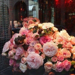 Dayana Dabagova, 06.02, Чегем