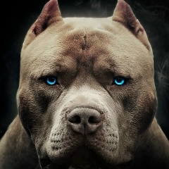 Георгий Георгий, 27.08.1989, Буденновск