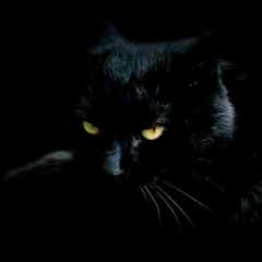 Татьяна Маровская, 22.03, Ростов