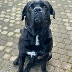 Вика Мартинова, 08.07.1991, Санкт-Петербург