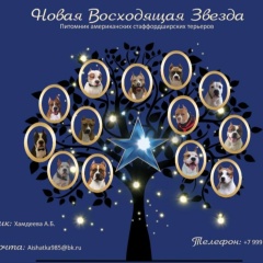 Айшат Хамдеева, 15.07, Москва