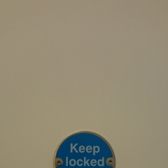 Денис Щанин, Москва