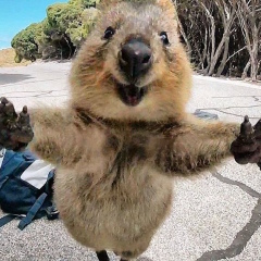 Иван Трифонов, 20.02.1989, Минск