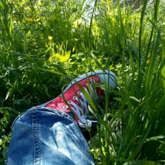 Артемка Сергеев, 03.08, Великие Луки