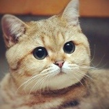 Жека Головачев, 06.10.1989, Гомель