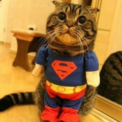 Марк Каньшин, 20.12.1997, Омск