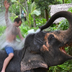 Макс Белокур