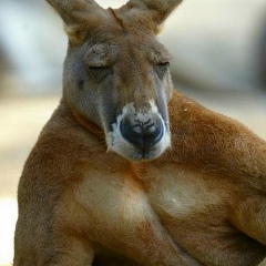 Андрей Греков, 30.04.1990, Москва