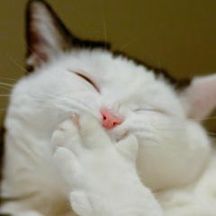 Саша Лендєл, 05.02.2003