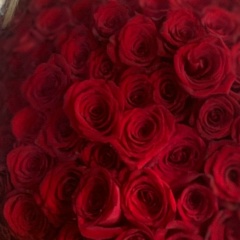 Анна Преображенская, 30.11.1984, Ноябрьск