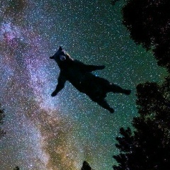 Евгений Сергеев, 14.10, Санкт-Петербург