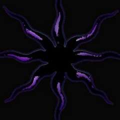 Андрей Сухих, 31.08.1981, Санкт-Петербург