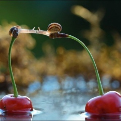 Эльвира Муртузаева, 23.01.1979, Москва