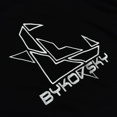 Алексей Быковский, Кулешовка