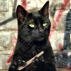 Корбен Даллас, 09.07, Москва