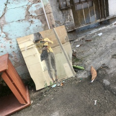 Анастасия Чешун, 15.06.1992, Москва