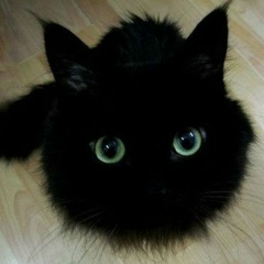 Максим Белецкий, 09.05