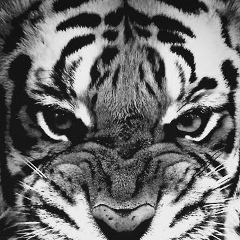 Леонид Парфёнов, 14.10.1992, Красноярск