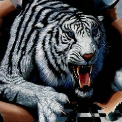 Иван Поддубный, 01.01, Нальчик