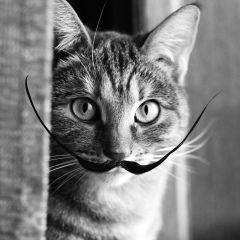 Ирина Рахманина, 24.11.1981