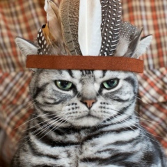 Андрей Величко, 08.03, Санкт-Петербург