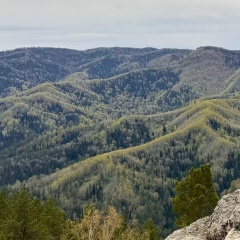 Ольга Евграфова, 16.01, Новосибирск