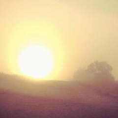 Яна Фёдорова, 05.08.1985, Москва