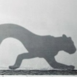 Оксана Дроздова, 02.09, Могилёв