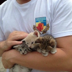 Арби Адамов, 26.06, Калининград