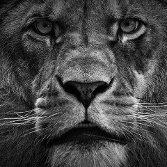 Dmitry Mironov, 24.02.1920