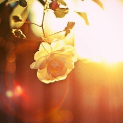 Дарья Бабич, 29.03.1984, Одесса