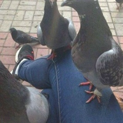 Ширин Есназарова, 17.11, Москва