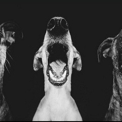 Nurlan Bazarbekov, 10.04.1990, Астана