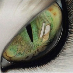 Сергей Данилов, 20.11