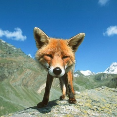 Ольга Александрова, 08.03