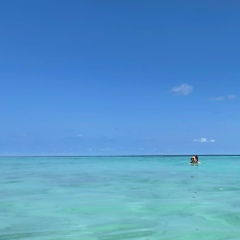 Dari Saharnaya, 24.04