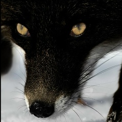 Владислав Романов, 07.04.1987