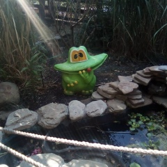 Галина Старцева, Санкт-Петербург