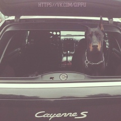 Костя Панков, 10.01.1996, Москва