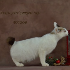 Анастасия Николаева, 17.08.1978, Санкт-Петербург