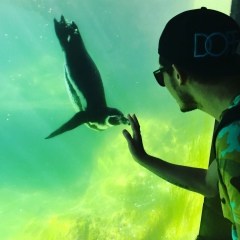 Серёга Малой, 17.02.1988, Одесса