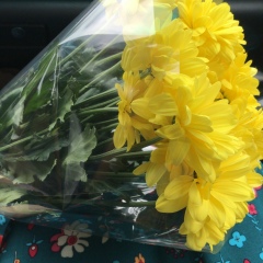 Юлия Кашкимбаева, Астана