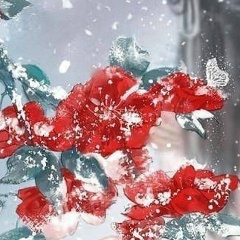 Анютка Маркелова, 16.07.1906, Санкт-Петербург