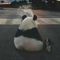 Михаил Левин, 10.04.1986