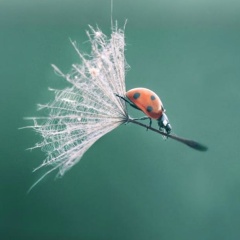 Юлия Юрьевна, Санкт-Петербург