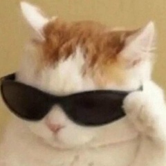 Миу Пиу, 01.03.1994, Витебск